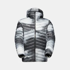 Albula IN Hooded Jacket Men Grain
