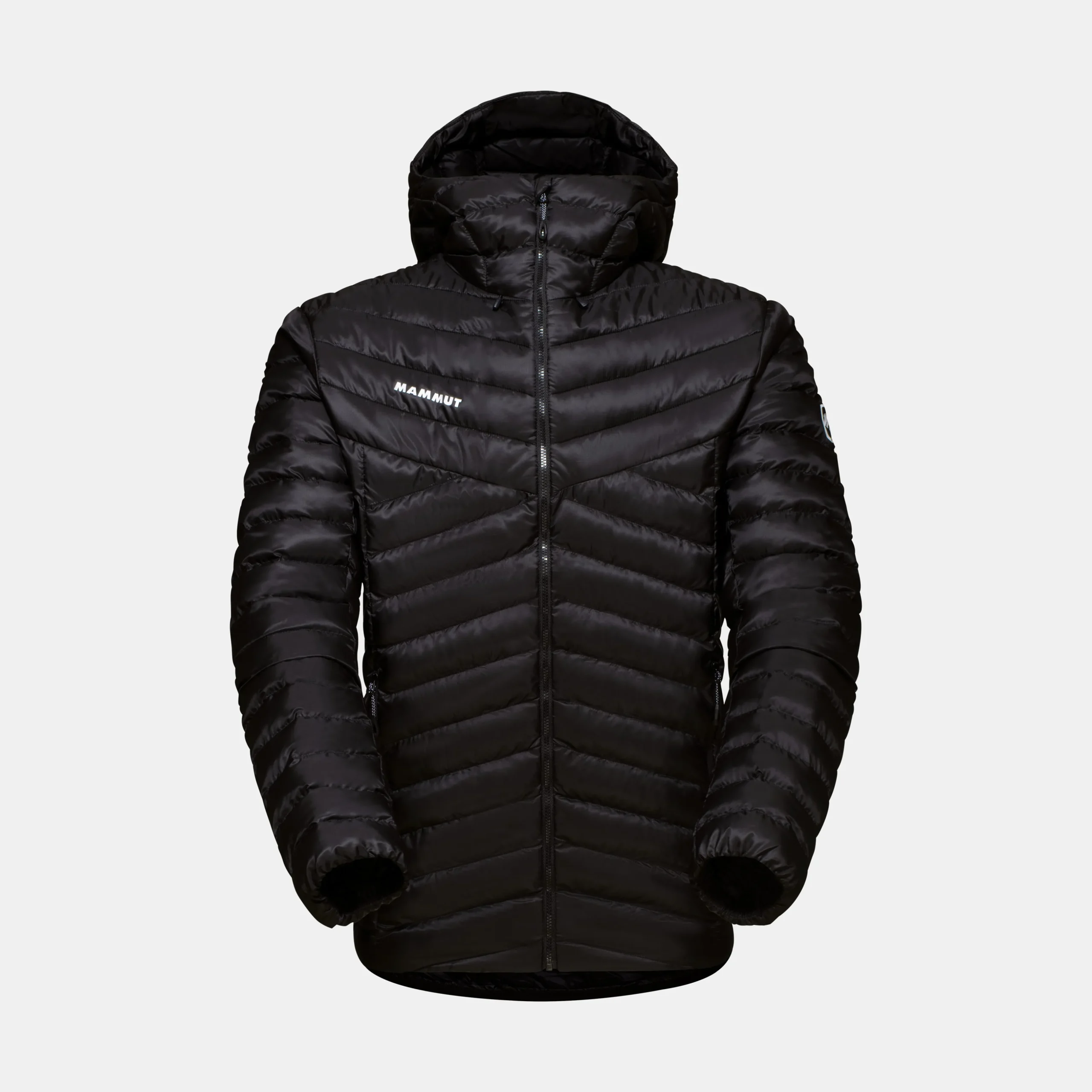 Albula IN Hooded Jacket Men