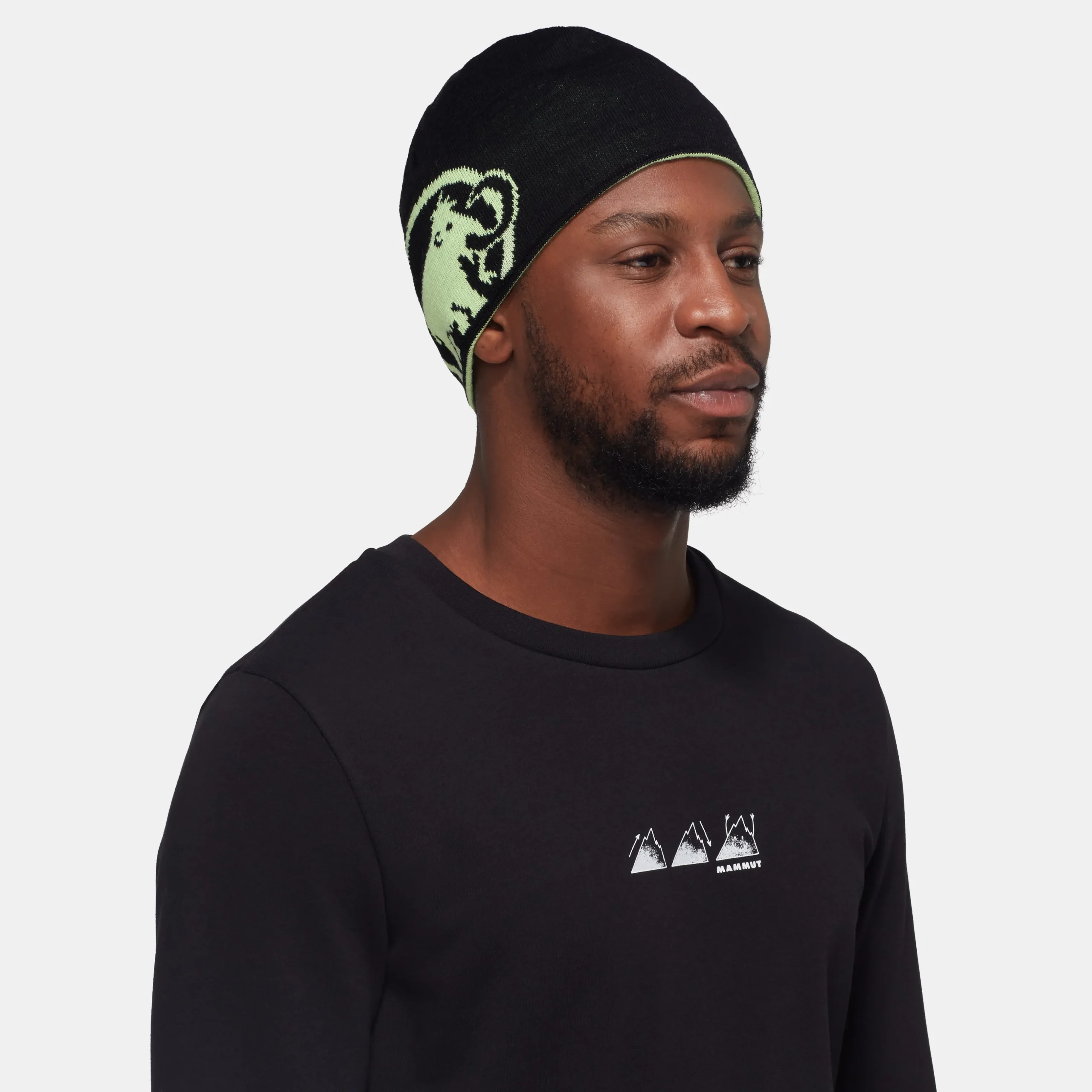 Mammut Logo Beanie