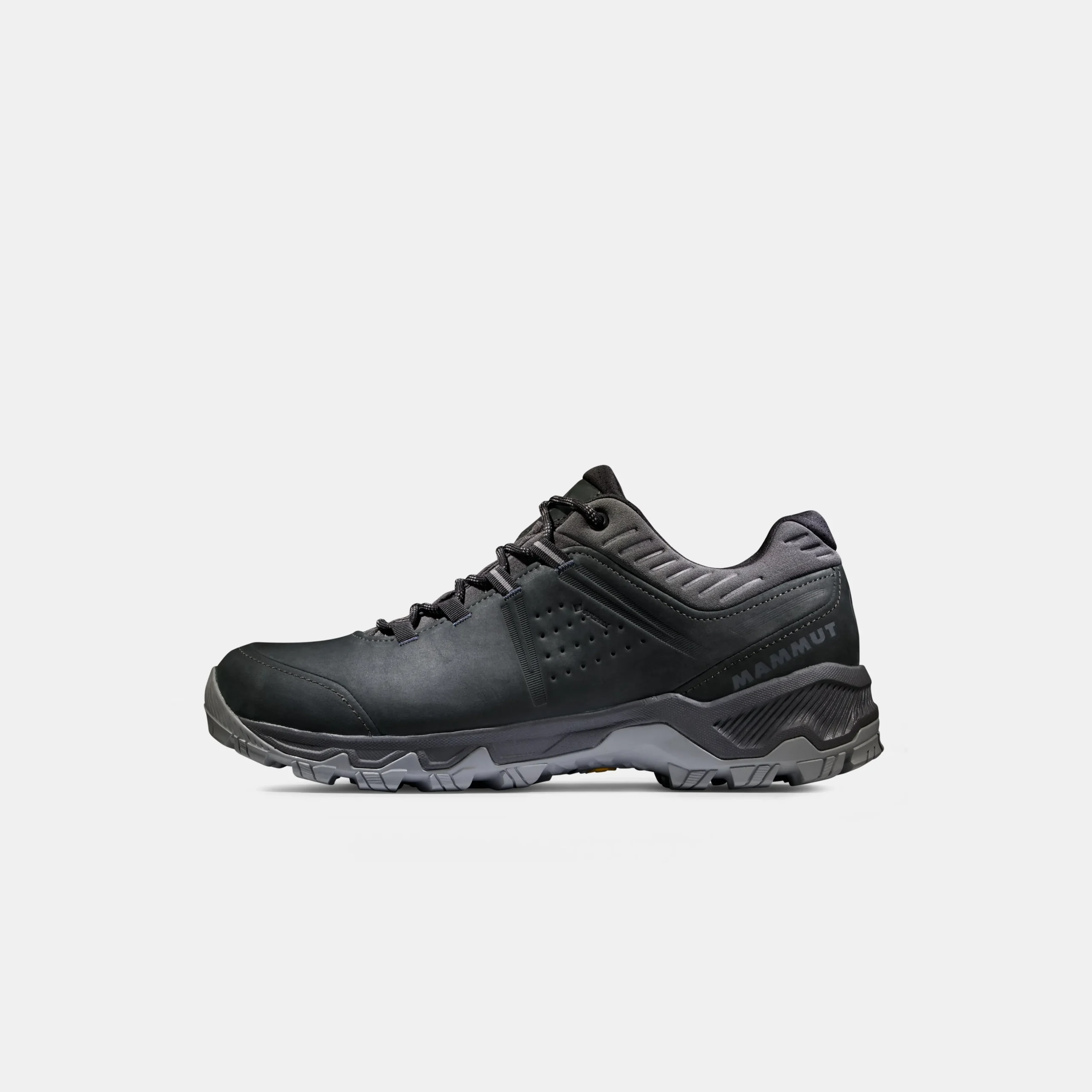 Mercury IV Low GTX Men