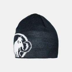 Tweak Beanie