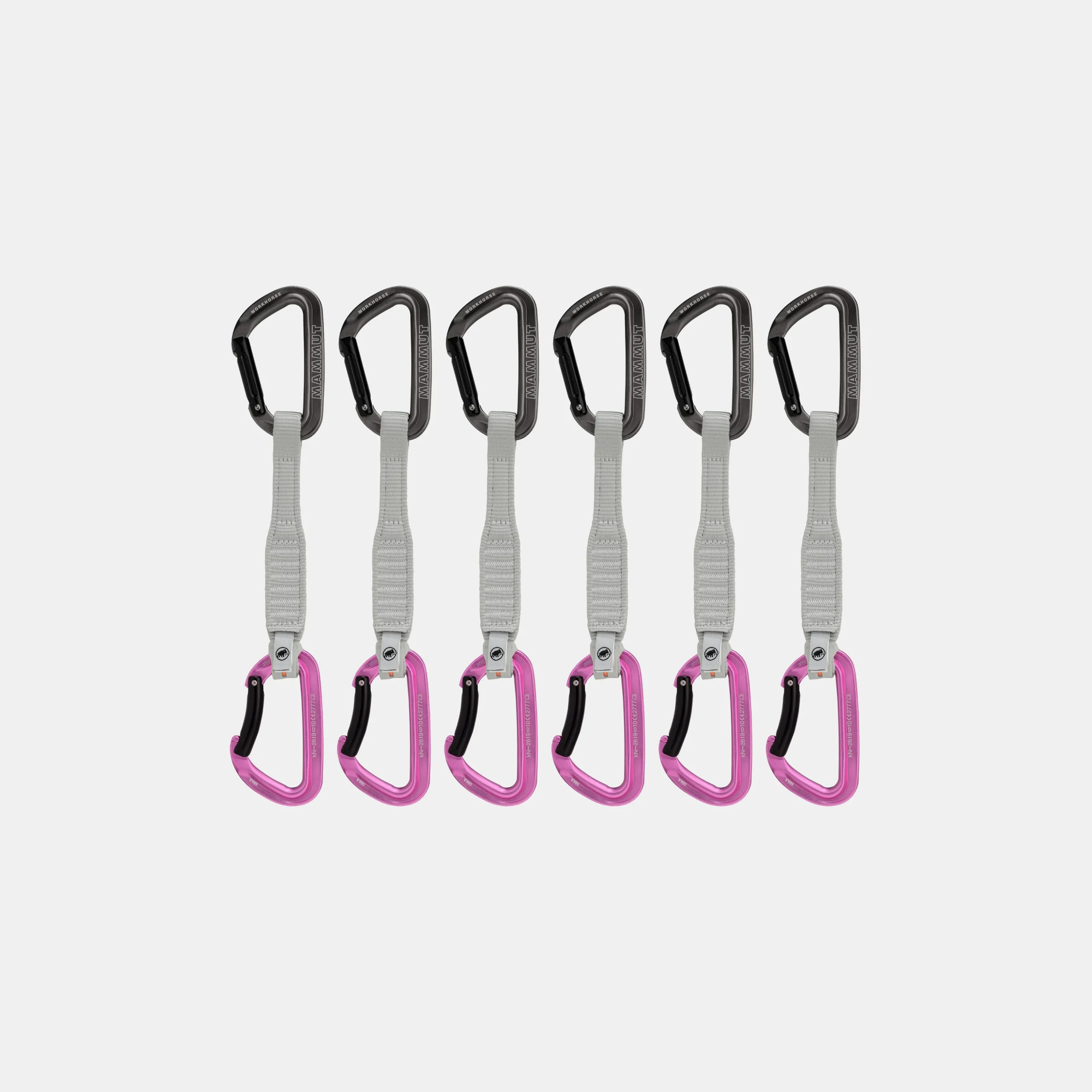 Workhorse Keylock 17 cm 6-Pack Quickdraws